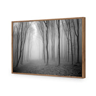 Mysterious Trees B&W
