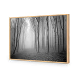 Mysterious Trees B&W