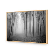 Mysterious Trees B&W