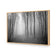 Mysterious Trees B&W