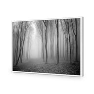 Mysterious Trees B&W