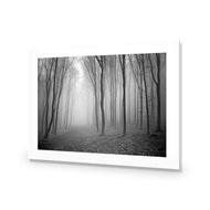 Mysterious Trees B&W