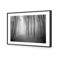 Mysterious Trees B&W