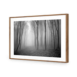 Mysterious Trees B&W