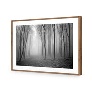 Mysterious Trees B&W