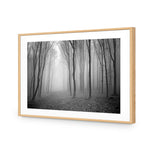 Mysterious Trees B&W