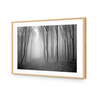 Mysterious Trees B&W