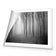 Mysterious Trees B&W