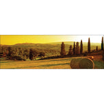 Tuscan Sunset (stock)