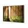 Autumn Pine Forest