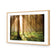 Autumn Pine Forest
