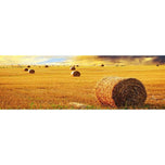 Bales of Hay Sunset