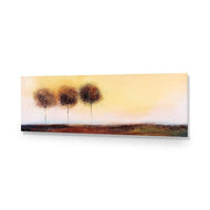 Three Cotton Trees Landscape