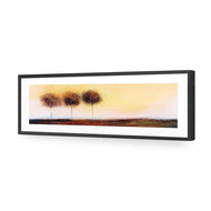 Three Cotton Trees Landscape