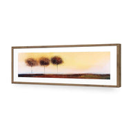 Three Cotton Trees Landscape