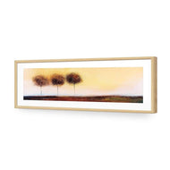 Three Cotton Trees Landscape