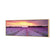 Lavender Sunset