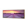 Lavender Sunset