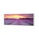 Lavender Sunset