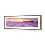 Lavender Sunset