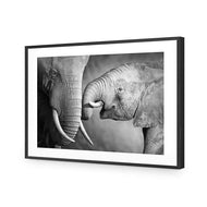 Elephant and Mum