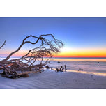 Driftwood Sunrise