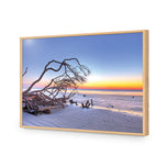 Driftwood Sunrise
