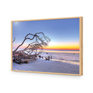 Driftwood Sunrise