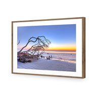 Driftwood Sunrise
