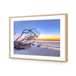 Driftwood Sunrise