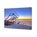 Driftwood Sunrise
