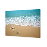 Starfish Beach