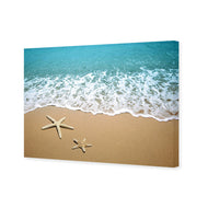 Starfish Beach