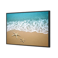 Starfish Beach