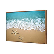 Starfish Beach