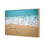 Starfish Beach