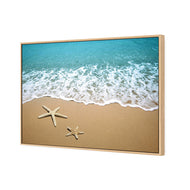 Starfish Beach
