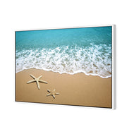 Starfish Beach