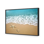 Starfish Beach