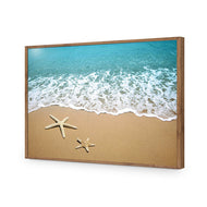 Starfish Beach