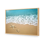 Starfish Beach