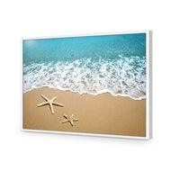Starfish Beach