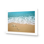 Starfish Beach