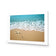 Starfish Beach