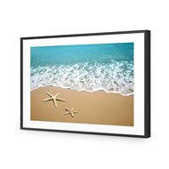 Starfish Beach