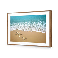 Starfish Beach