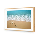 Starfish Beach