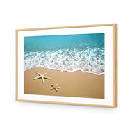 Starfish Beach