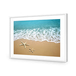 Starfish Beach