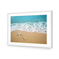 Starfish Beach